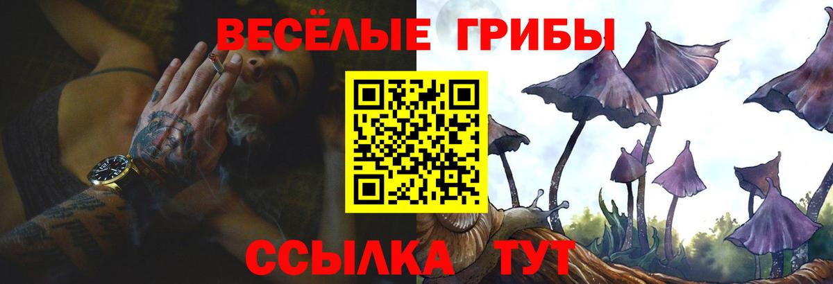 Галлюциногенные грибы мухоморы  Вход с VPN  дарнет шоп  Клинцы 